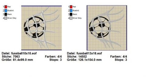 Fußball im Netz