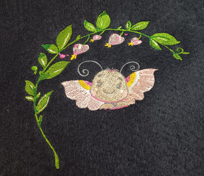 süsse Schmetterlinge